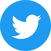 The official Twitter logo